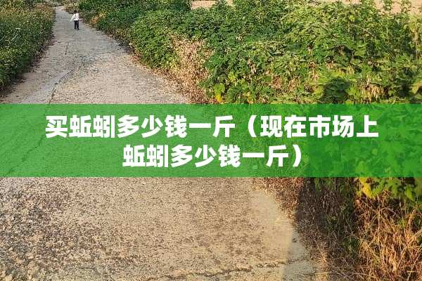 买蚯蚓多少钱一斤（现在市场上蚯蚓多少钱一斤）