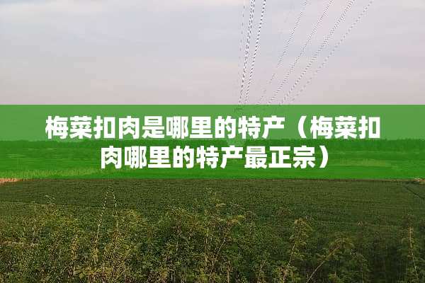 梅菜扣肉是哪里的特产（梅菜扣肉哪里的特产最正宗）