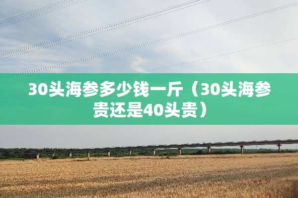 30头海参多少钱一斤（30头海参贵还是40头贵）
