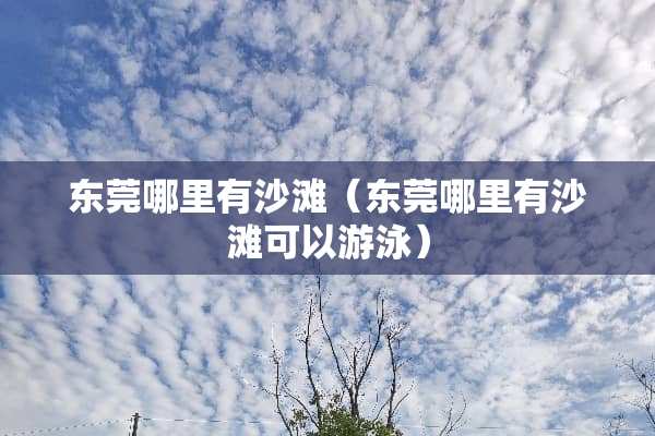 东莞哪里有沙滩（东莞哪里有沙滩可以游泳）