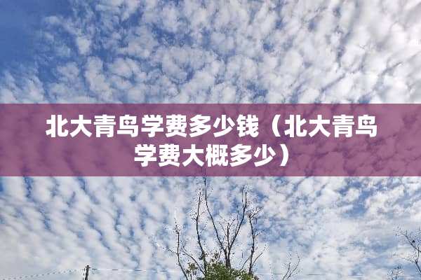 北大青鸟学费多少钱（北大青鸟学费大概多少）
