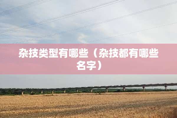 杂技类型有哪些（杂技都有哪些名字）