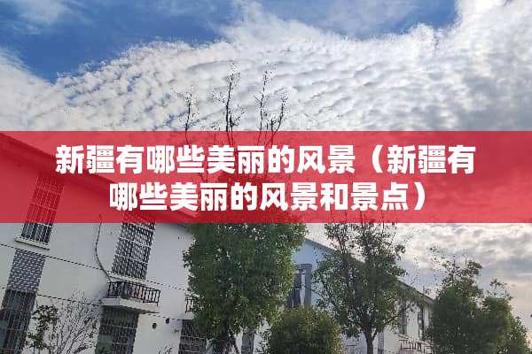 新疆有哪些美丽的风景（新疆有哪些美丽的风景和景点）