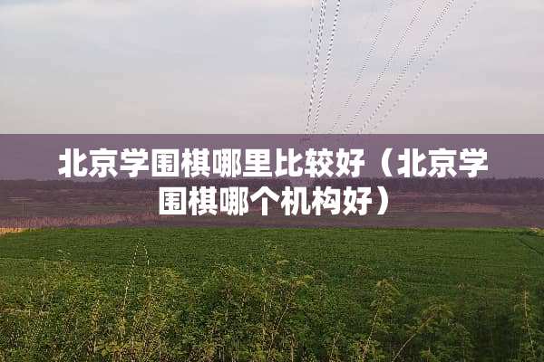 北京学围棋哪里比较好（北京学围棋哪个机构好）