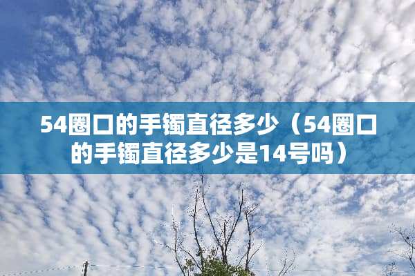 54圈口的手镯直径多少（54圈口的手镯直径多少是14号吗）