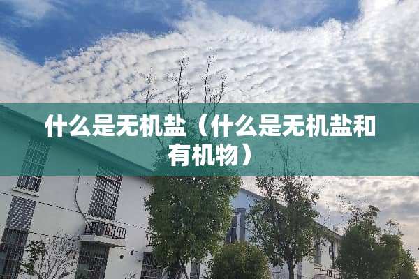什么是无机盐（什么是无机盐和有机物）