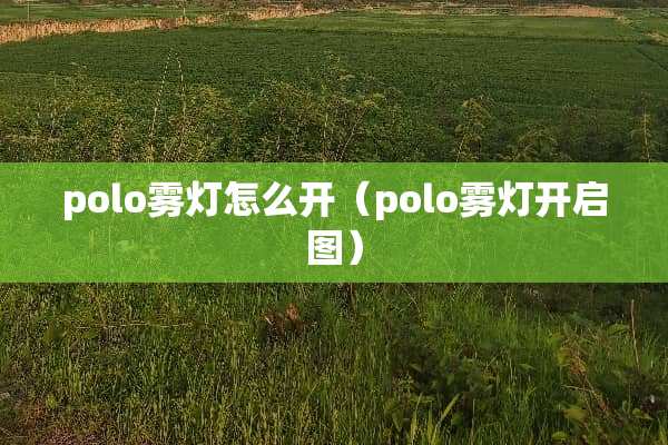 polo雾灯怎么开（polo雾灯开启图）