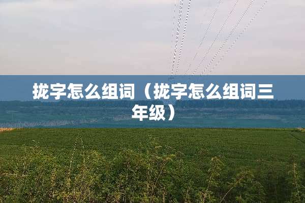 拢字怎么组词（拢字怎么组词三年级）