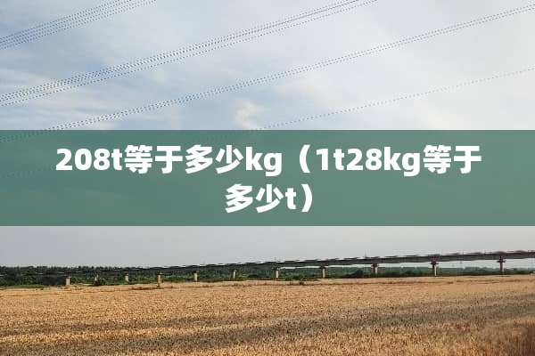 208t等于多少kg（1t28kg等于多少t）