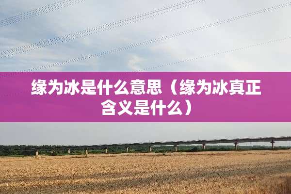 缘为冰是什么意思（缘为冰真正含义是什么）