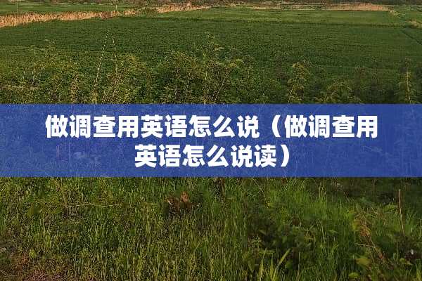 做调查用英语怎么说（做调查用英语怎么说读）