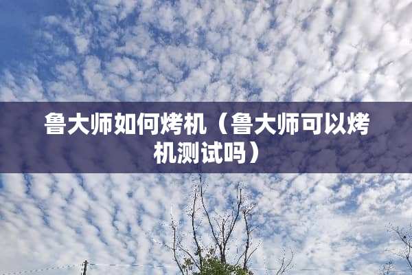 鲁大师如何烤机（鲁大师可以烤机测试吗）