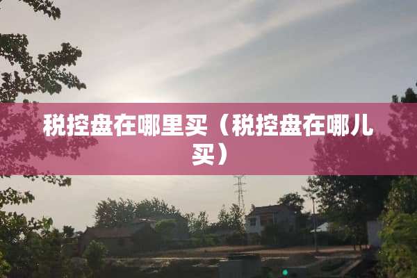 税控盘在哪里买（税控盘在哪儿买）