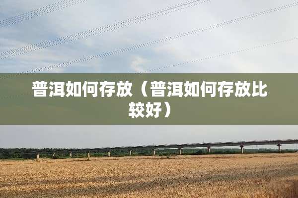 普洱如何存放（普洱如何存放比较好）
