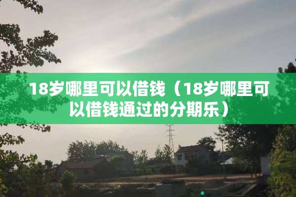 18岁哪里可以借钱（18岁哪里可以借钱通过的分期乐）