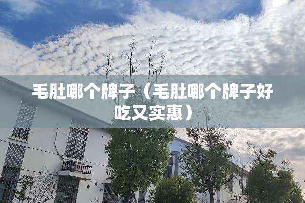毛肚哪个牌子（毛肚哪个牌子好吃又实惠）