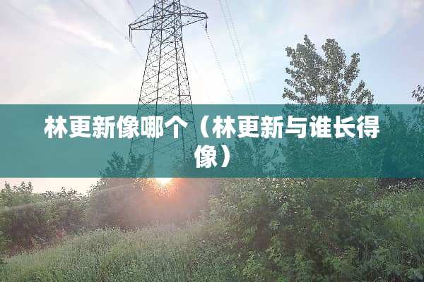 林更新像哪个（林更新与谁长得像）