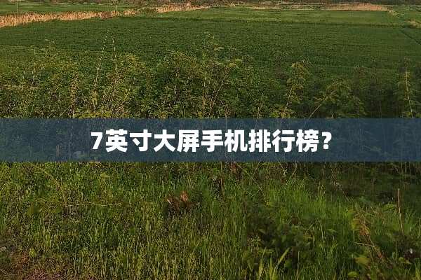7英寸大屏手机排行榜？