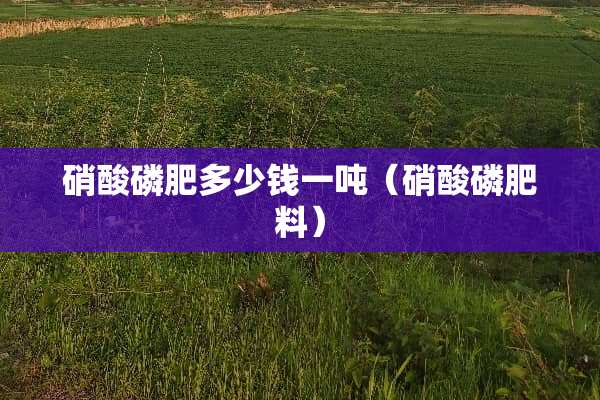 硝酸磷肥多少钱一吨（硝酸磷肥料）