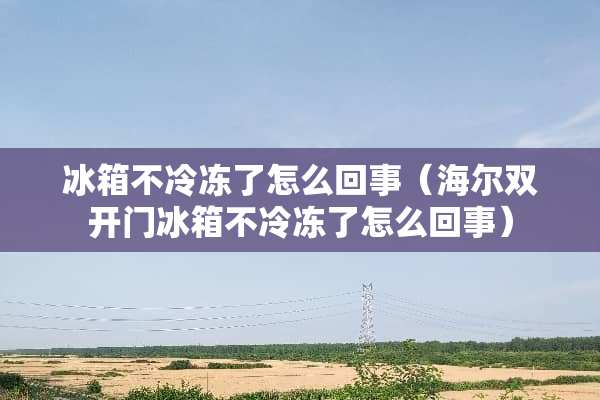 冰箱不冷冻了怎么回事（海尔双开门冰箱不冷冻了怎么回事）