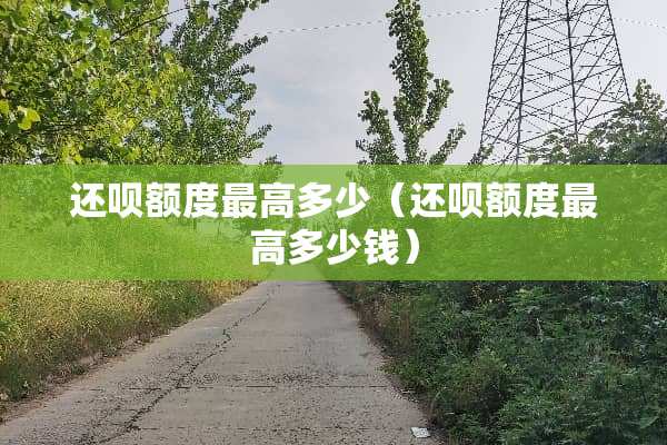 还呗额度最高多少（还呗额度最高多少钱）