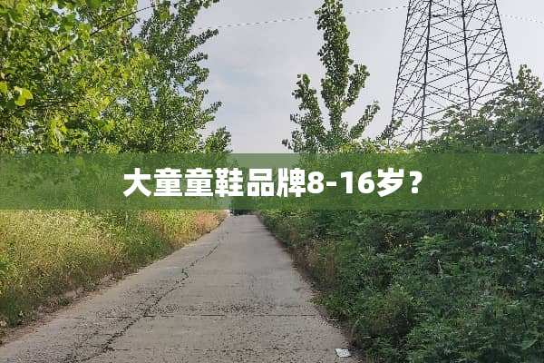 大童童鞋品牌8-16岁？