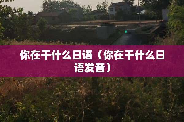 你在干什么日语（你在干什么日语发音）