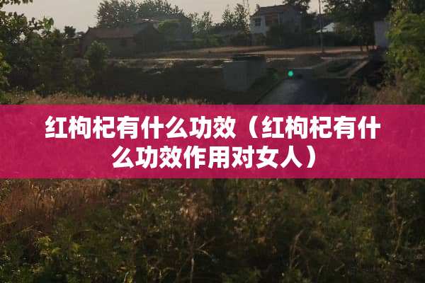 红枸杞有什么功效（红枸杞有什么功效作用对女人）