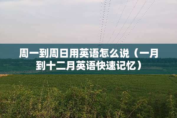 周一到周日用英语怎么说（一月到十二月英语快速记忆）