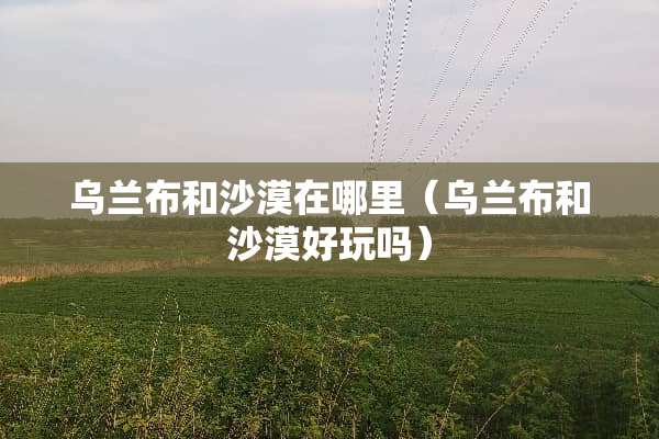 乌兰布和沙漠在哪里（乌兰布和沙漠好玩吗）