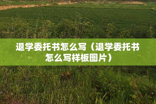 退学委托书怎么写（退学委托书怎么写样板图片）