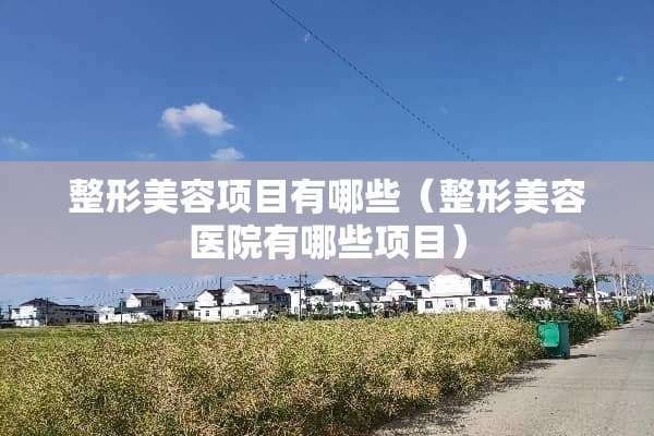 整形美容项目有哪些（整形美容医院有哪些项目）