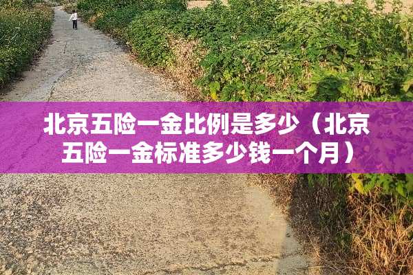 北京五险一金比例是多少（北京五险一金标准多少钱一个月）