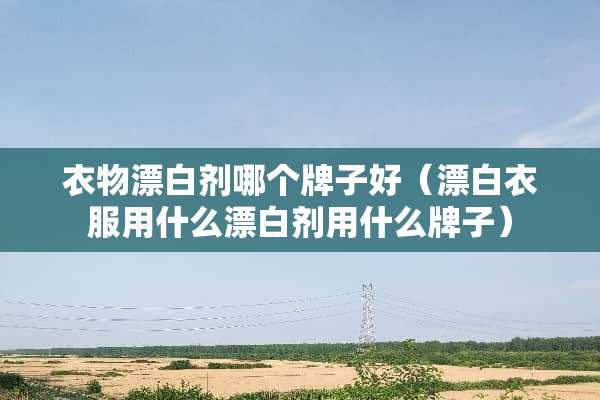 衣物漂白剂哪个牌子好（漂白衣服用什么漂白剂用什么牌子）