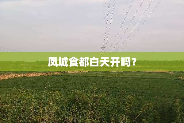 凤城食都白天开吗？