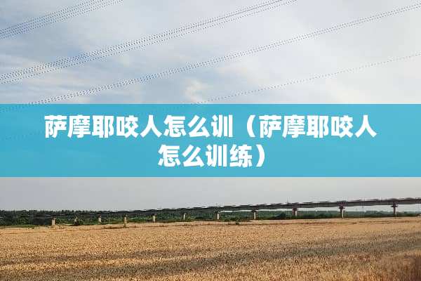 萨摩耶咬人怎么训（萨摩耶咬人怎么训练）