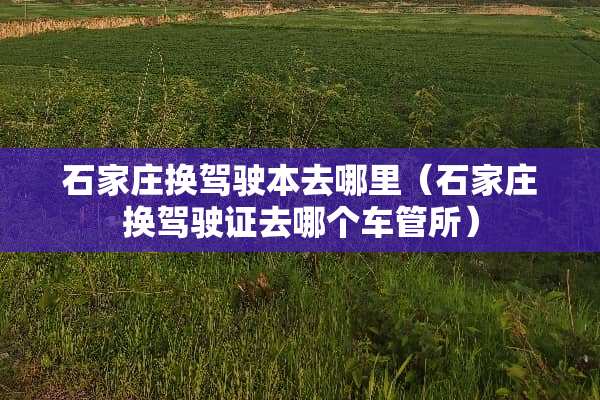 石家庄换驾驶本去哪里（石家庄换***去哪个车管所）