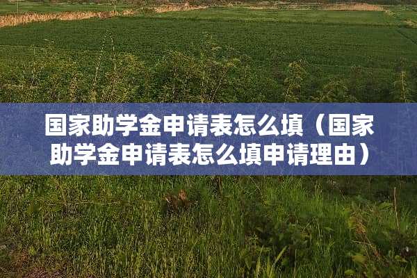 国家助学金申请表怎么填（国家助学金申请表怎么填申请理由）