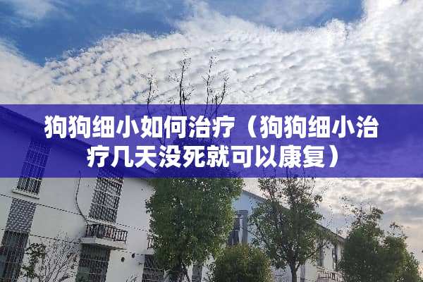 狗狗细小如何治疗（狗狗细小治疗几天没死就可以康复）