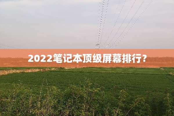 2022笔记本**屏幕排行？