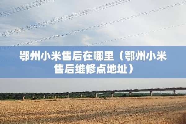 鄂州小米售后在哪里（鄂州小米售后维修点地址）
