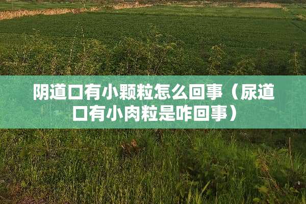 *道口有小颗粒怎么回事（尿道口有小肉粒是咋回事）
