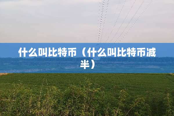 什么叫比特币（什么叫比特币减半）