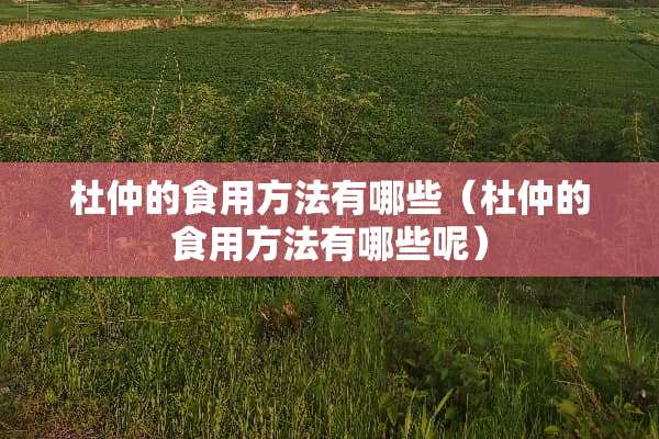 杜仲的食用方法有哪些（杜仲的食用方法有哪些呢）