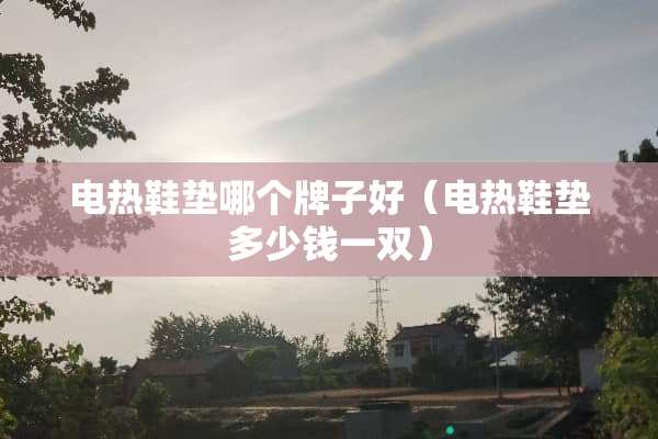 电热鞋垫哪个牌子好（电热鞋垫多少钱一双）