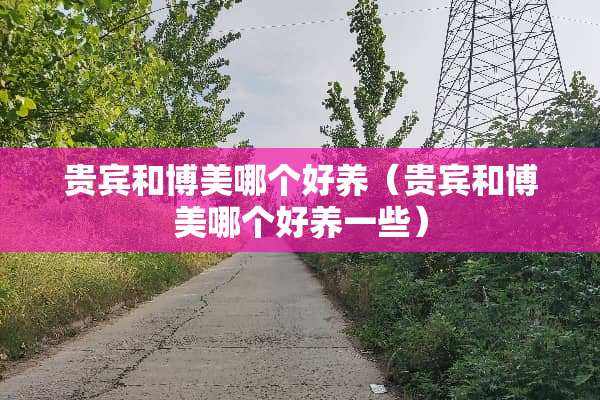 贵宾和博美哪个好养（贵宾和博美哪个好养一些）