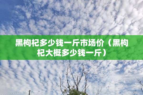 黑枸杞多少钱一斤市场价（黑枸杞大概多少钱一斤）