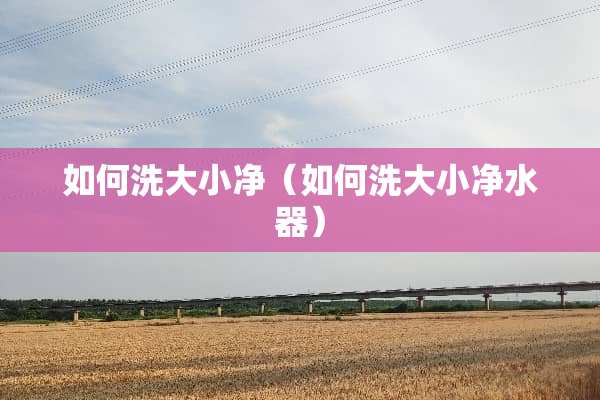 如何洗大小净（如何洗大小***）