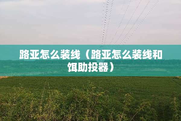 路亚怎么装线（路亚怎么装线和饵助投器）