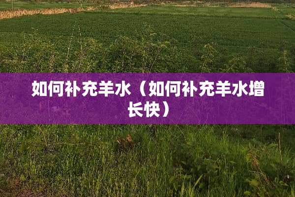 如何补充羊水（如何补充羊水增长快）